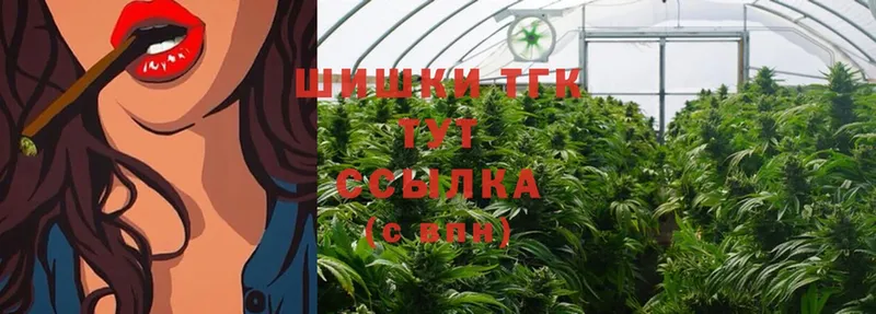 Марихуана SATIVA & INDICA  гидра как войти  Исилькуль 